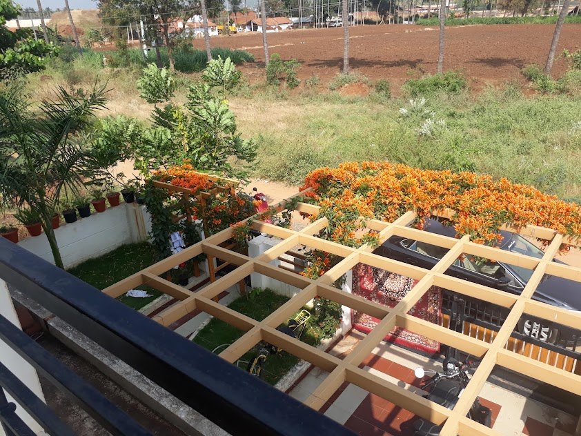 A pergola grid built over the courtyard and car porch of an existing house, with a flowering creeper trained across it, in Pannimadai, Coimbatore